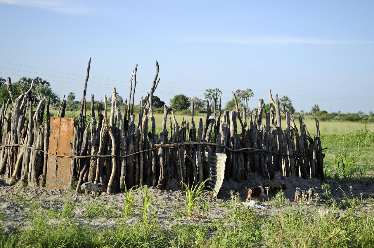 Ongula Village Homestead Lodge Omupumba Extérieur photo
